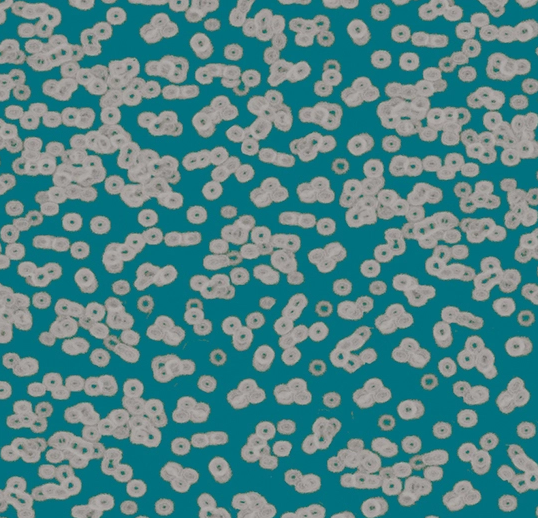 Flotex Roll Vision #990404 Bacteria 79" x 98.4'