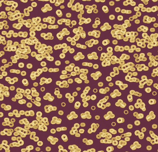 Flotex Roll Vision #990501 Bacteria 79" x 98.4'
