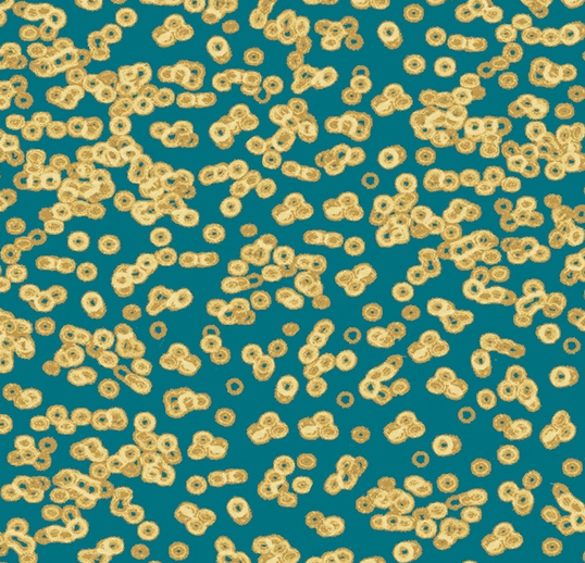 Flotex Roll Vision #990503 Bacteria 79" x 98.4'