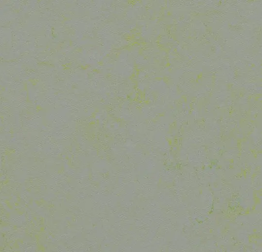 Marmoleum Roll Solid Concrete Green Shimmer 6' 6" - 2.5 mm (Sold in Sqyd)