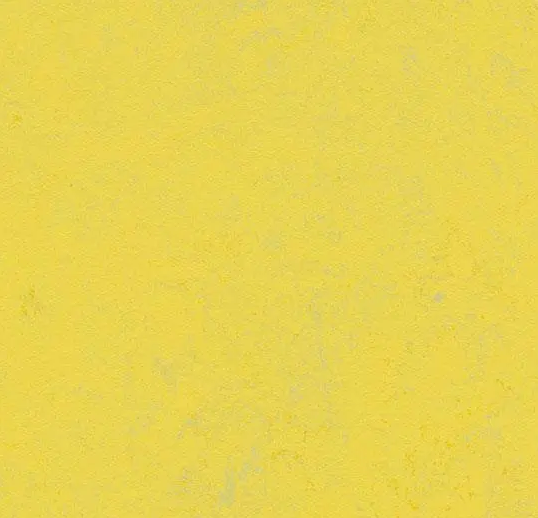 Marmoleum Roll Solid Concrete Yellow Glow 6' 6" - 2.5 mm (Sold in Sqyd)