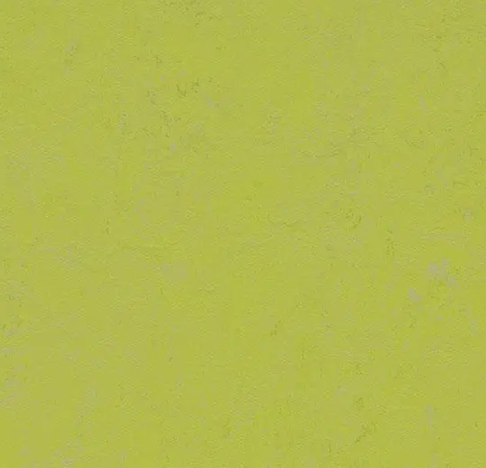 Marmoleum Roll Solid Concrete Green Glow 6' 6" - 2.5 mm (Sold in Sqyd)