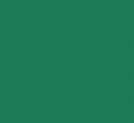Athletica Roll Field Green 6' x 66' - 3/16" (5 mm) (Sold by Sqyd)
