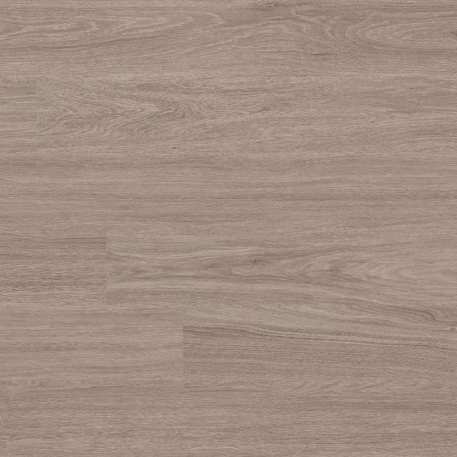 Planches de vinyle Glenridge Bleashed Elm Collé au sol 6" x 48"