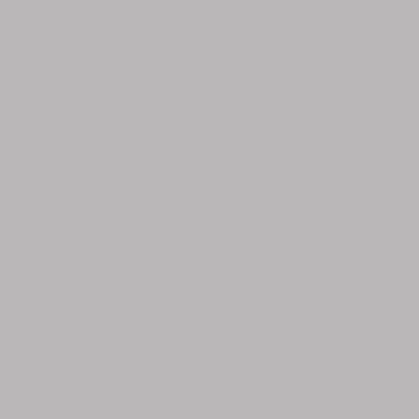 Epoxy Pigment EPO POD Metallic #101 Silver 1 L