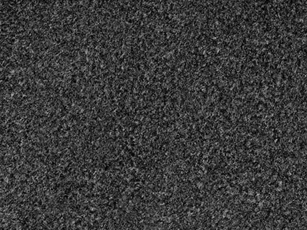 Tapis d'entrée Proluxe Charcoal 3' x 4'