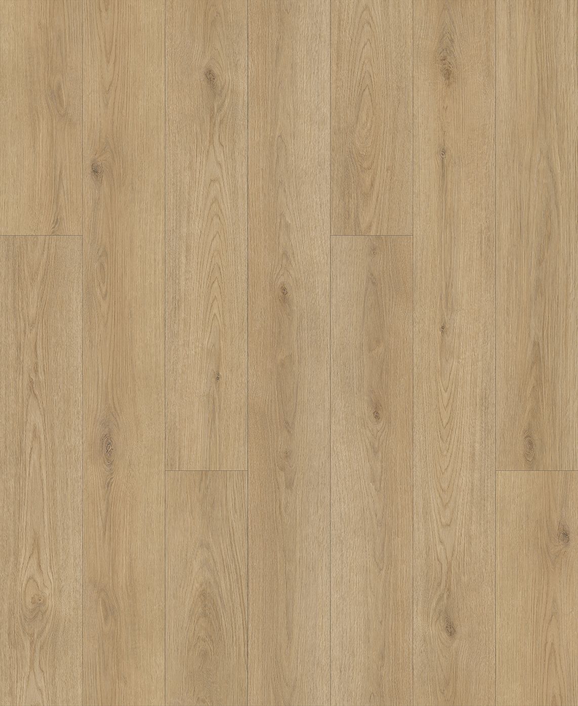 Planches de vinyle EchoTec 5.0 Horizon collées au sol 7-1/4" x 48"