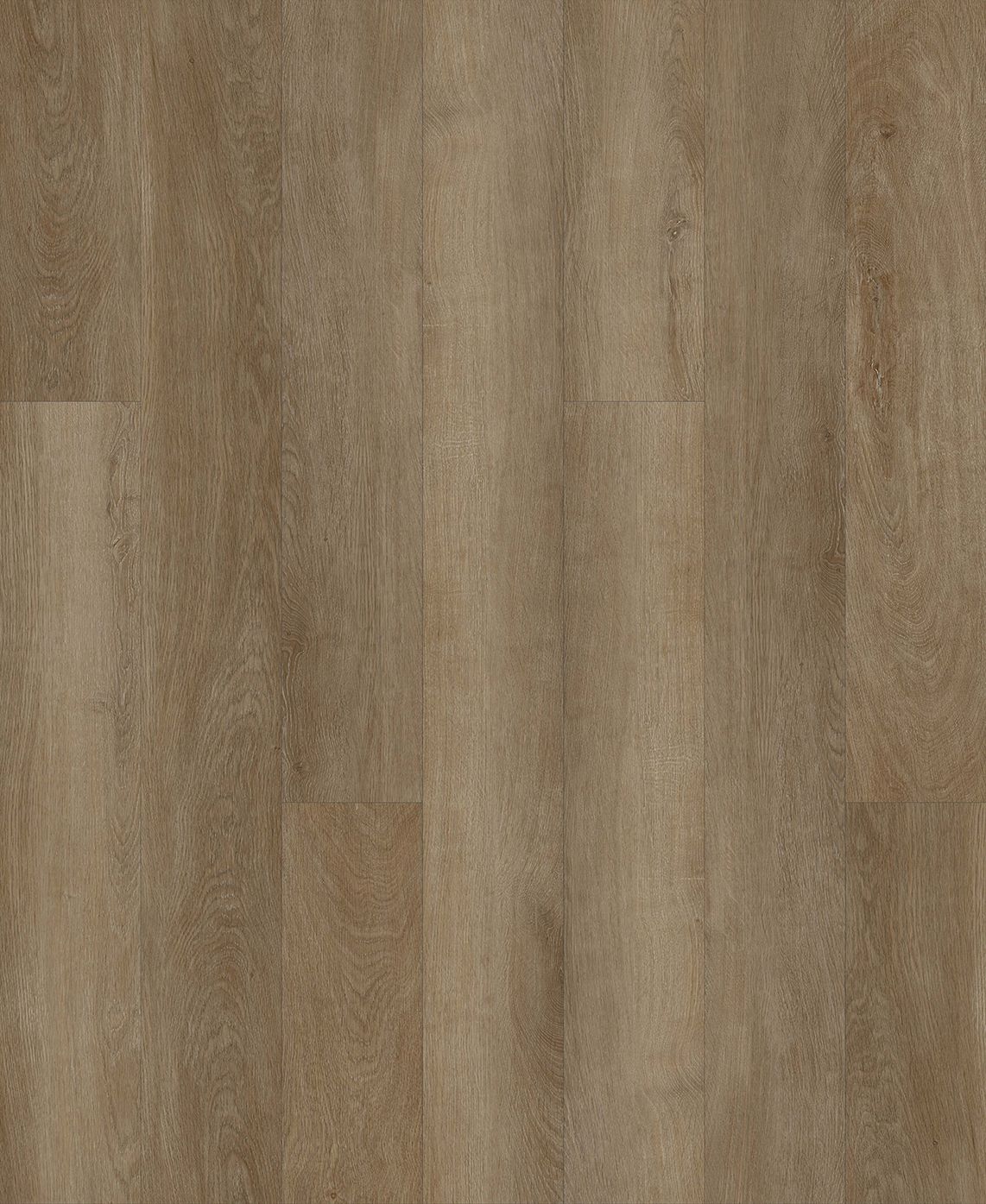 Vinyl Planks EchoTec 5.0 Hark Glue Down 7-1/4" x 48"