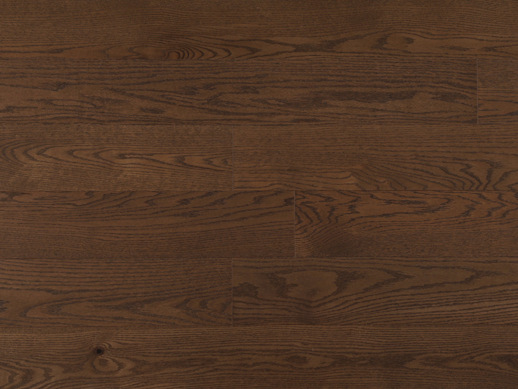 Engineered Hardwood Camel Character 6" - 3/4"