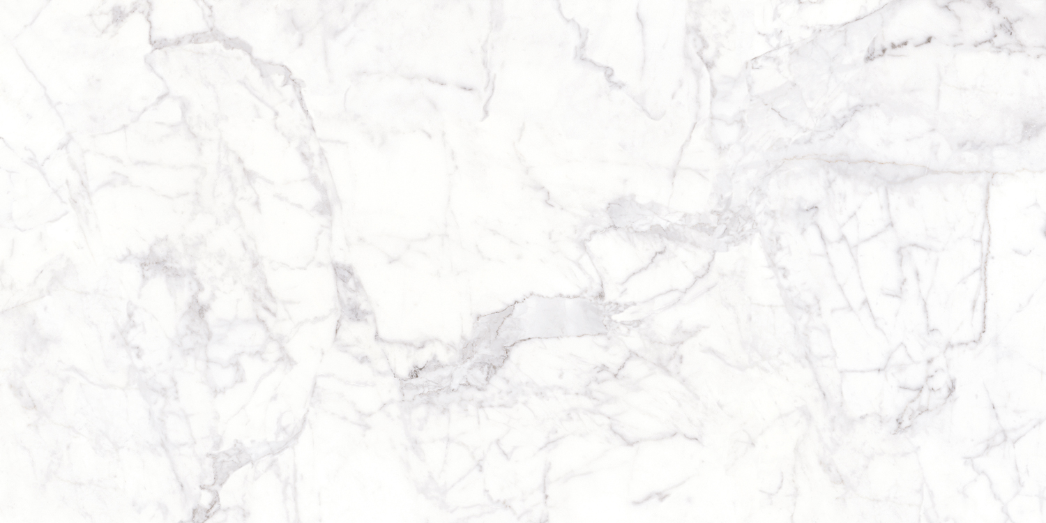 Tuiles de plancher Marbles Bianco Cararra Poli 24" x 48"