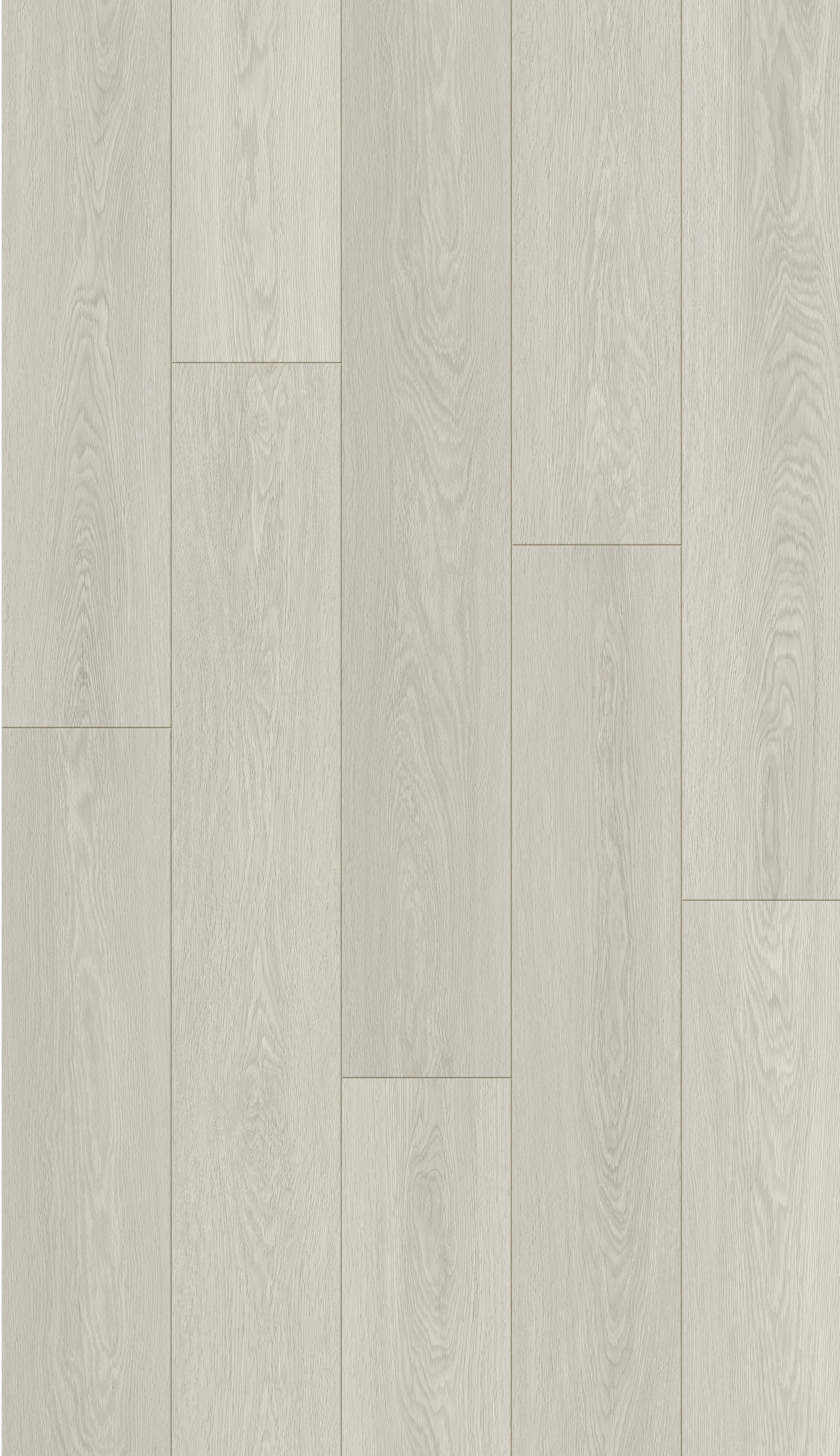 Planches de vinyle Évolution Serie Rise Phoenix Collé au sol 5-7/8" x 48"