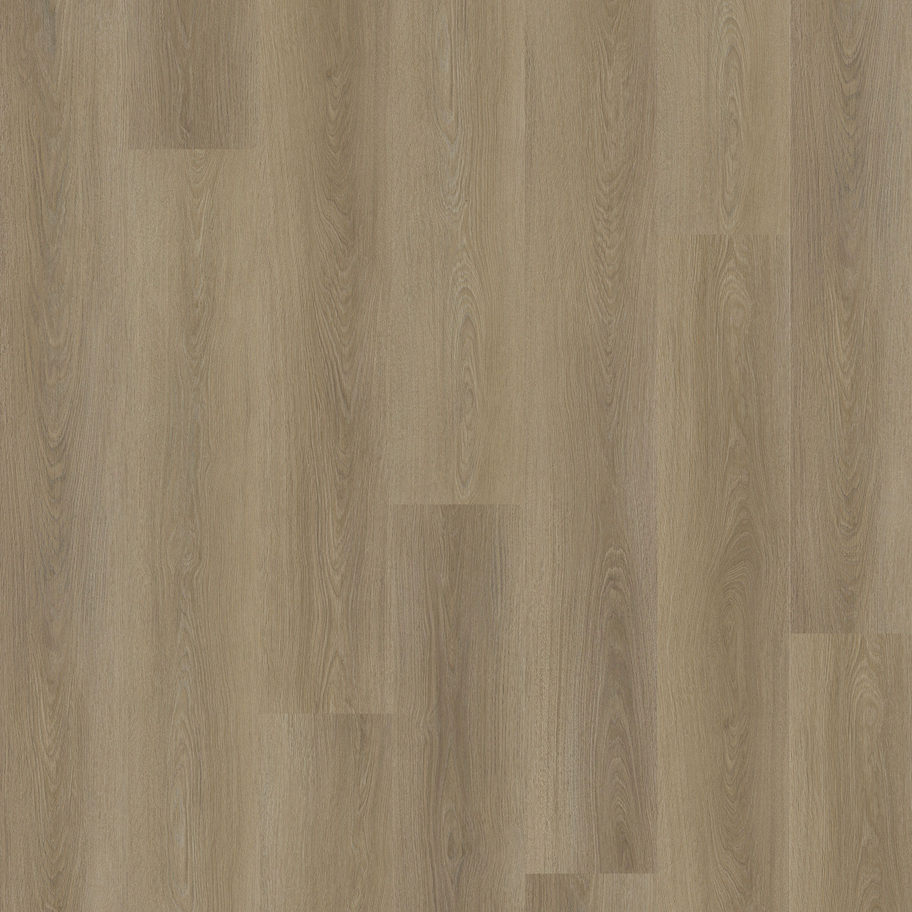 Planches de vinyle Évolution Serie Origin Sarna Collé au sol 6" x 48"