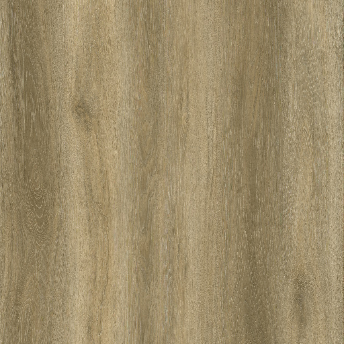 Vinyl Planks Evolution Origin series Wheat Glue Down 6" x 48"