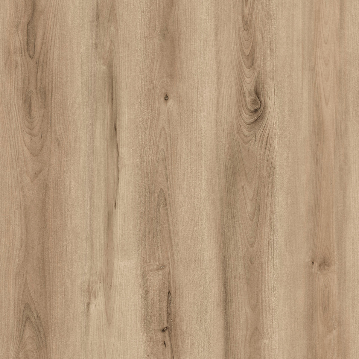 Planches de vinyle Évolution Serie Origin Boa Collé au sol 6" x 48"