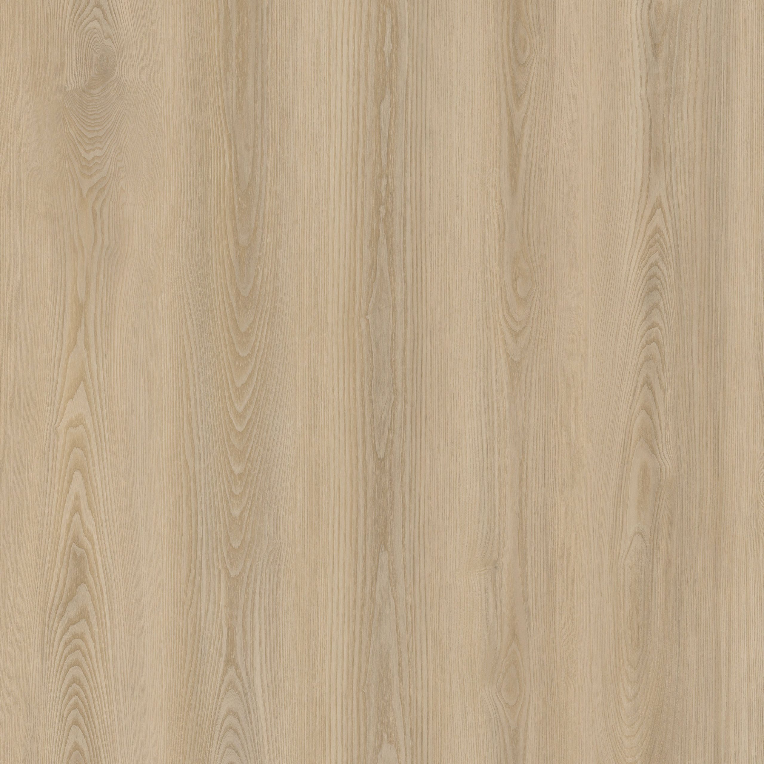 Planches de vinyle Évolution Serie Origin Raal Collé au sol 6" x 48"