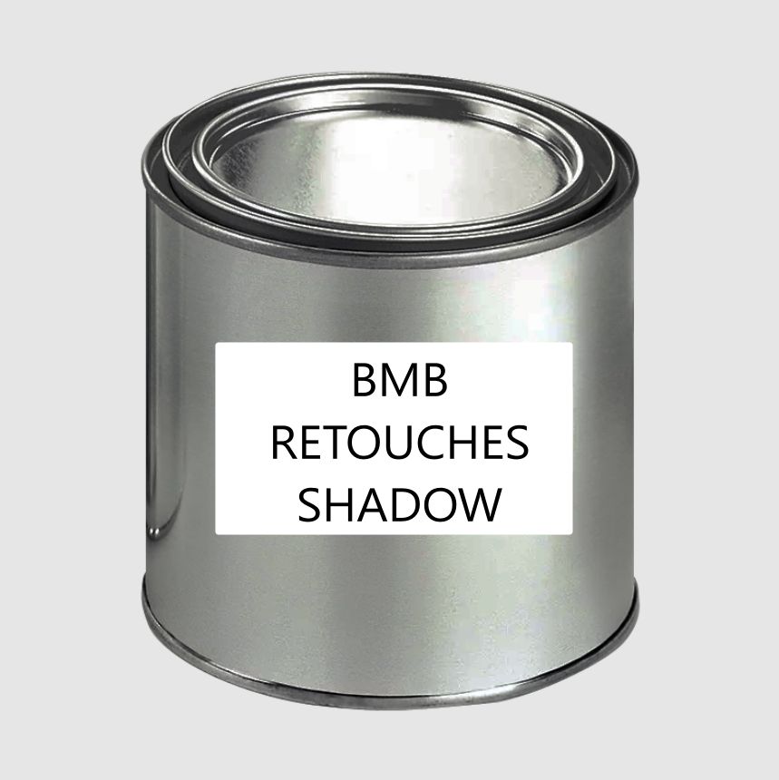 Touch Up Kit for Wall Concept Elevation Wild Shadow 250 ml