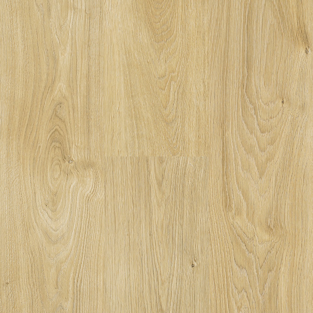 Plancher flottant Catamaran Organic Oak 8" x 48"