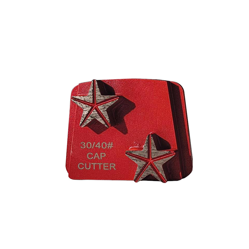 Grinding Pad with 2 Diamond Star Cap Cutter Segments 16 Grit for PHX21/D21/D28