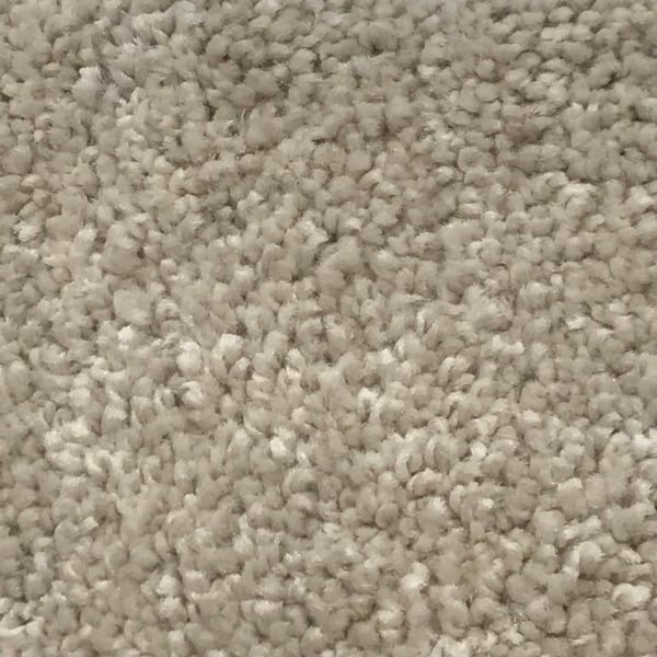 Standard Carpets (MOME1290) product