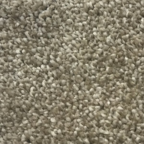 Standard Carpets (MOME1293) product