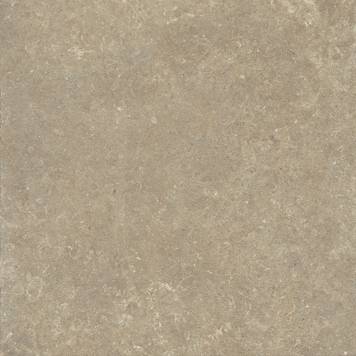 Floor Tiles Arkistyle Earth Matte 24" x 24"