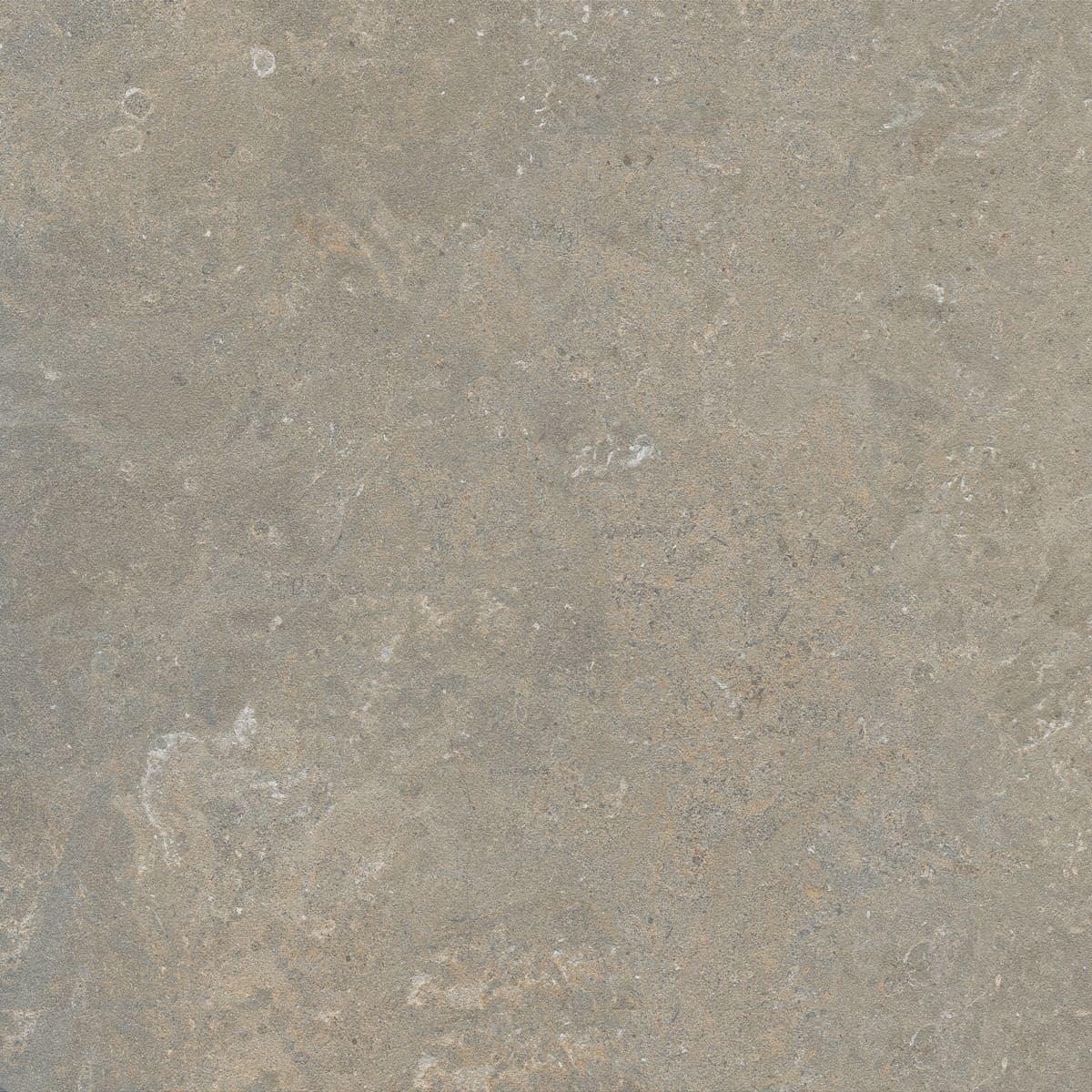 Floor Tiles Arkistyle Fossil Matte 24" x 24"