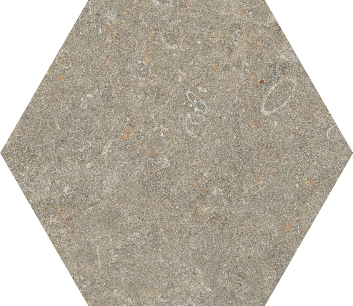 Floor Tiles Arkistyle Fossil Matte 9" x 10"