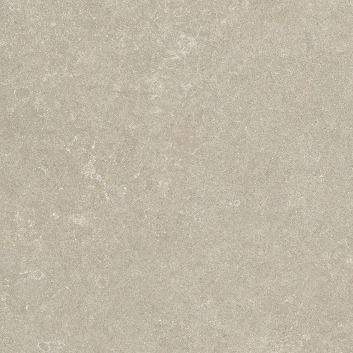 Floor Tiles Arkistyle Limy Matte 24" x 24"