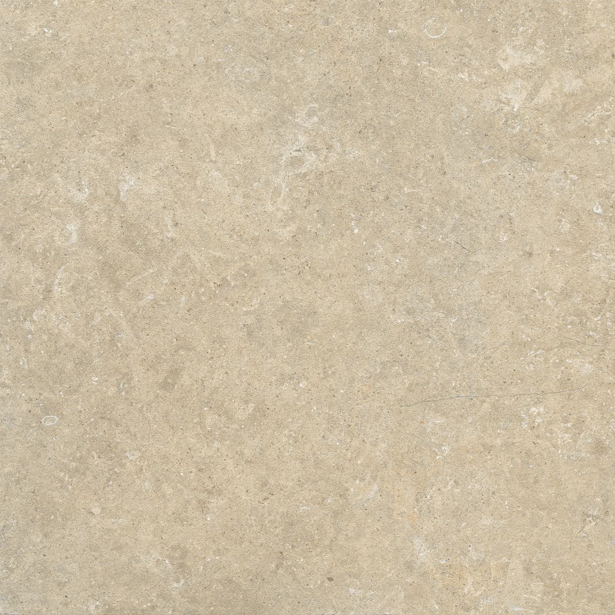 Floor Tiles Arkistyle Sand Matte 24" x 24"