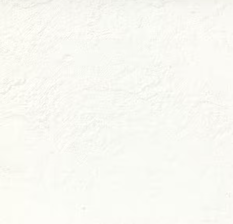 Floor Tiles Super Slate White Matte 24" x 24"