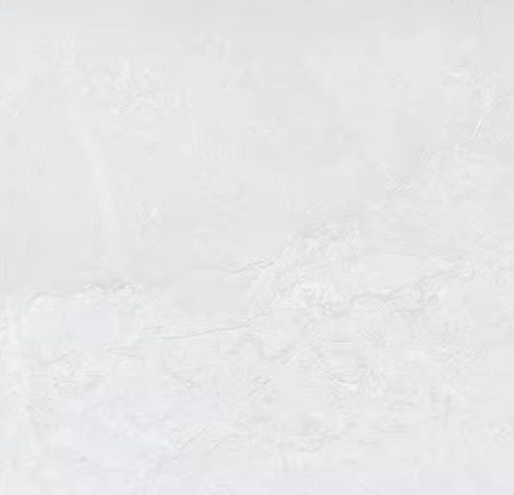 Tuiles de plancher Time Marble Blanc Mat 24" x 24"