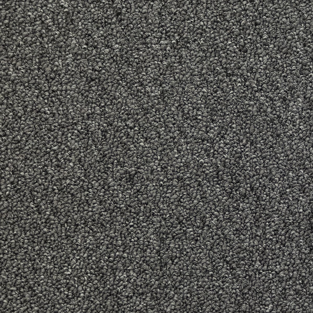 Broadloom Carpet Doorfield #3578 Coal 12' (Sold in Sqyd)