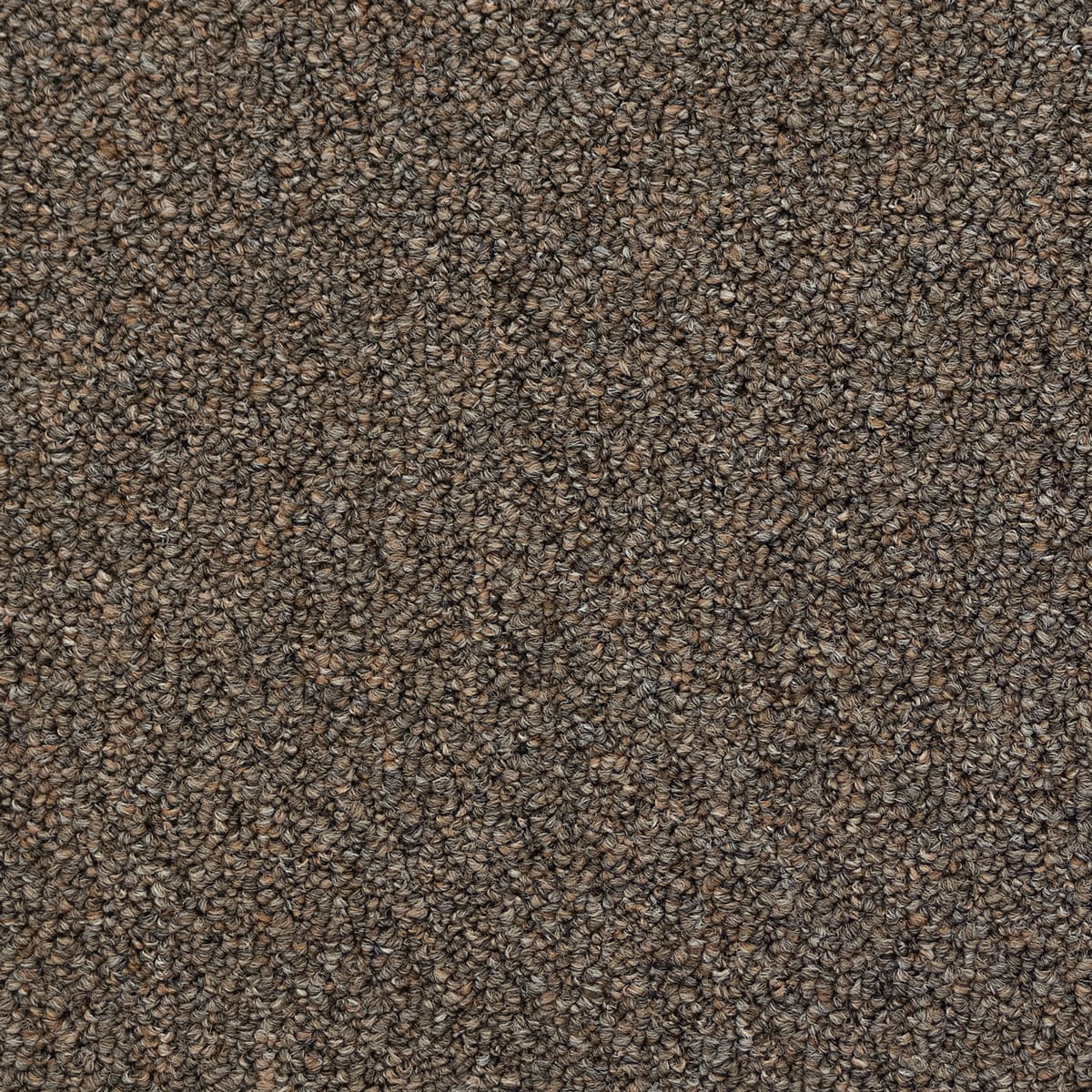 Broadloom Carpet Doorfield #5051 Iced Tea 12' (Sold in Sqyd)