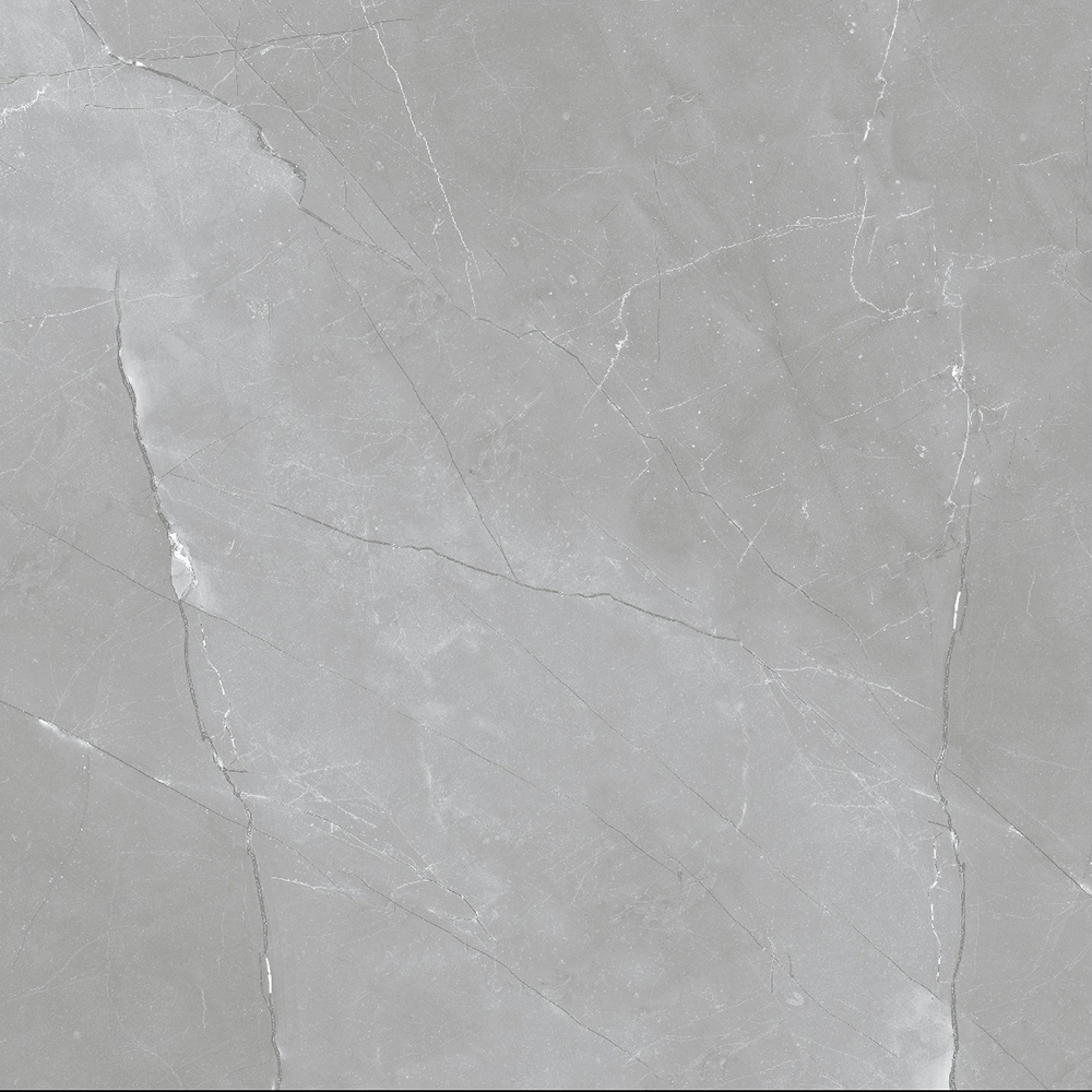 たまき　グレー Centura - Floor Tiles Ernie Grigio Polished 24