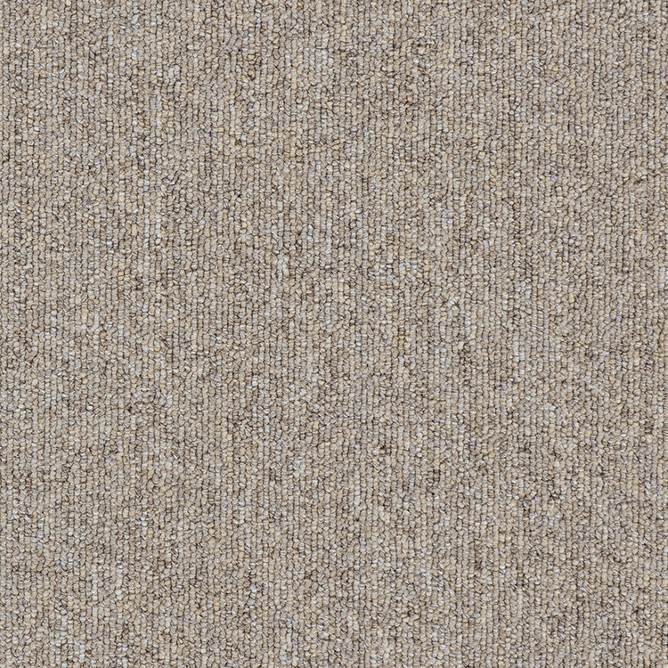 Broadloom Carpet Sonic 20 Ashed Pepper 12' (Sold in sqyd)