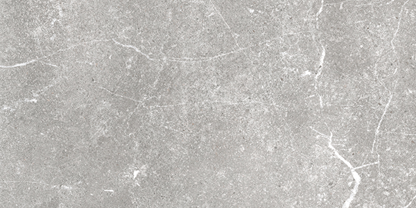 Floor Tiles Soapstone Silver Polished 12" x 24"