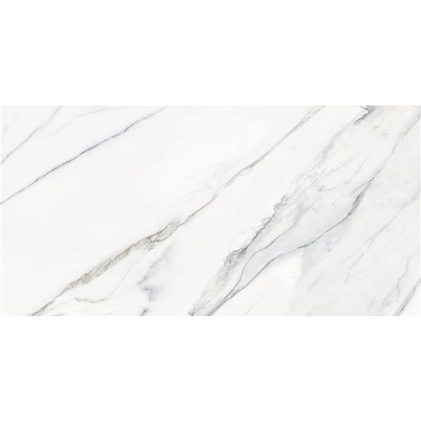 Floor Tiles Calacatta Infinity Glossy 24" x 48"