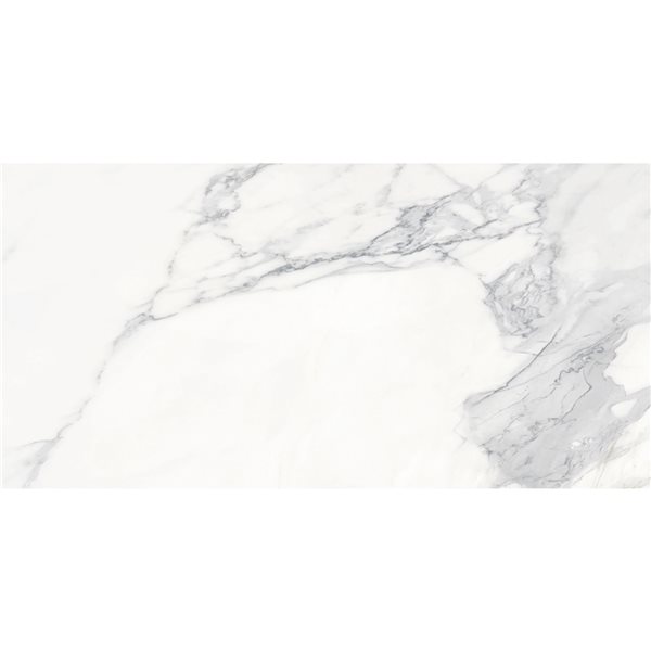 Floor Tiles Calacatta Infinity Matte 24" x 48"