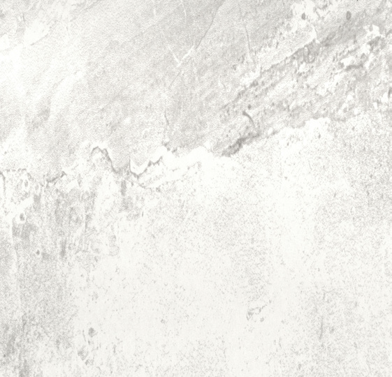Floor Tiles Pietra Bella Bianco Matte 12" x 12"