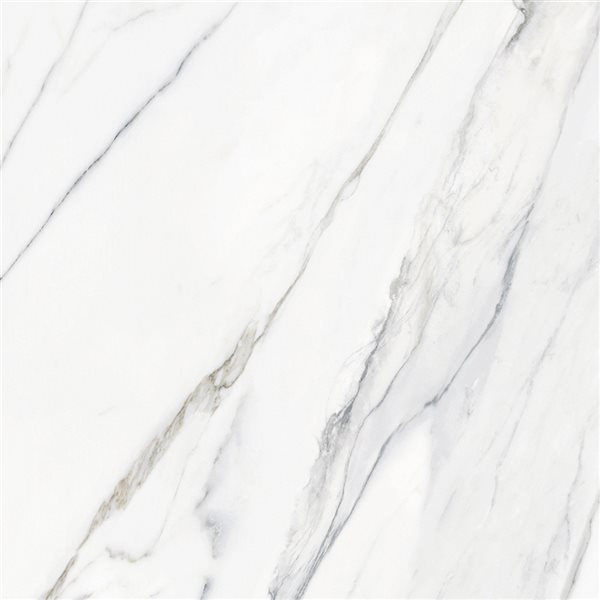 Floor Tiles Calacatta Infinity Matte 24" x 24"