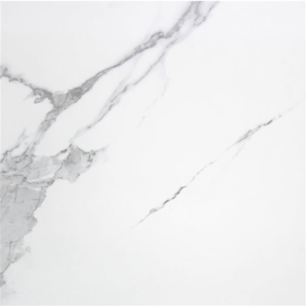 Floor Tiles Carrara Matte 24" x 24"