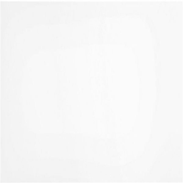 Tuiles de plancher Pure White Lustré 24" x 24"