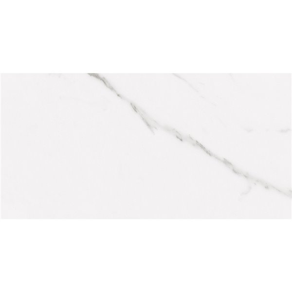 Tuiles murales Polaris Brillo Lustré 12" x 24"