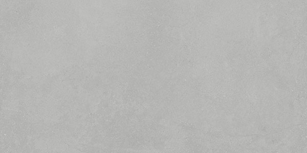 Floor Tiles Integra Silver Matte 12" x 24"