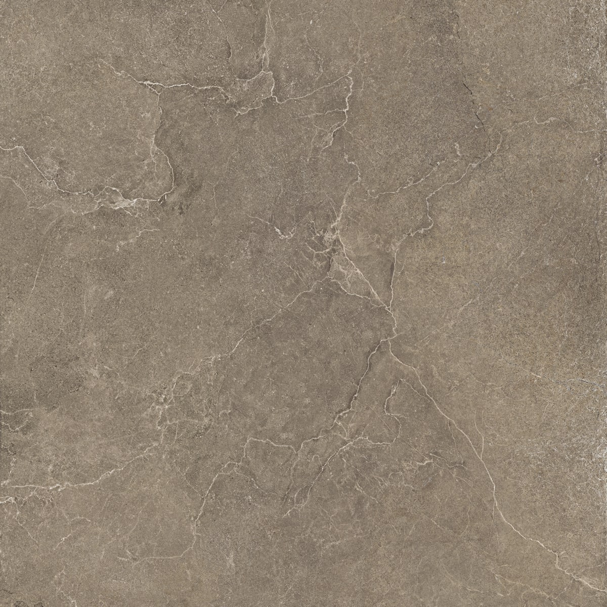 Floor Tiles Lithos Desert Natural 24" x 24"