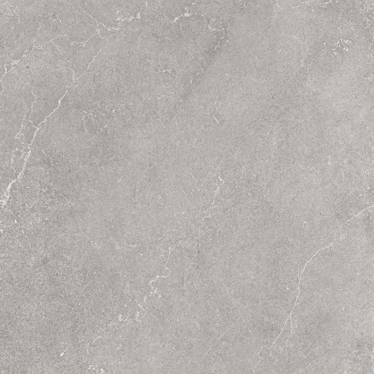 Floor Tiles Lithos Stone Natural 24" x 24" (11.51 sqft/box)