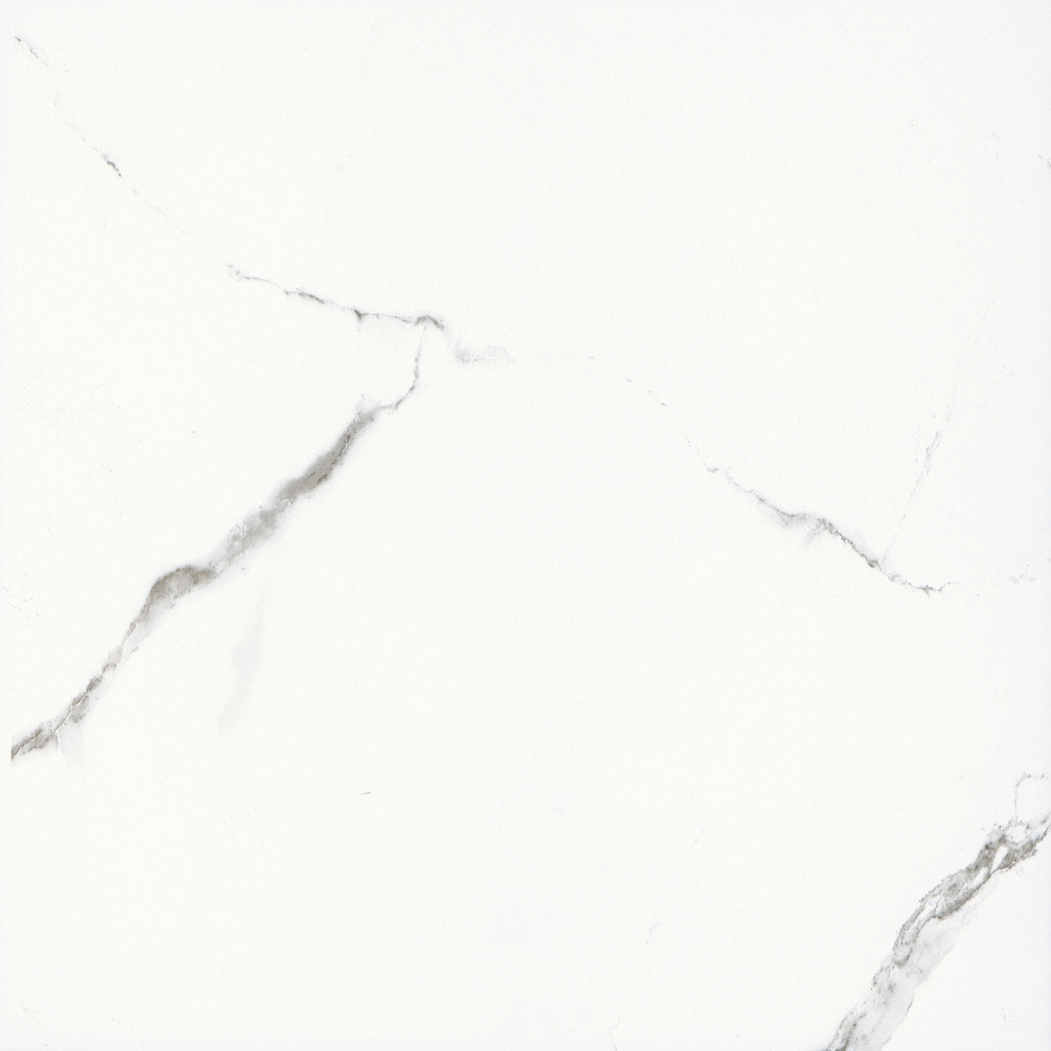 Floor Tiles Maxi White Matte 16" x 16"
