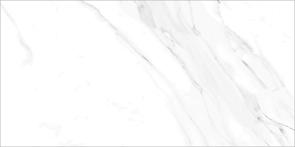 Floor Tiles Naos Blanco Brillo Polished 12" x 24"
