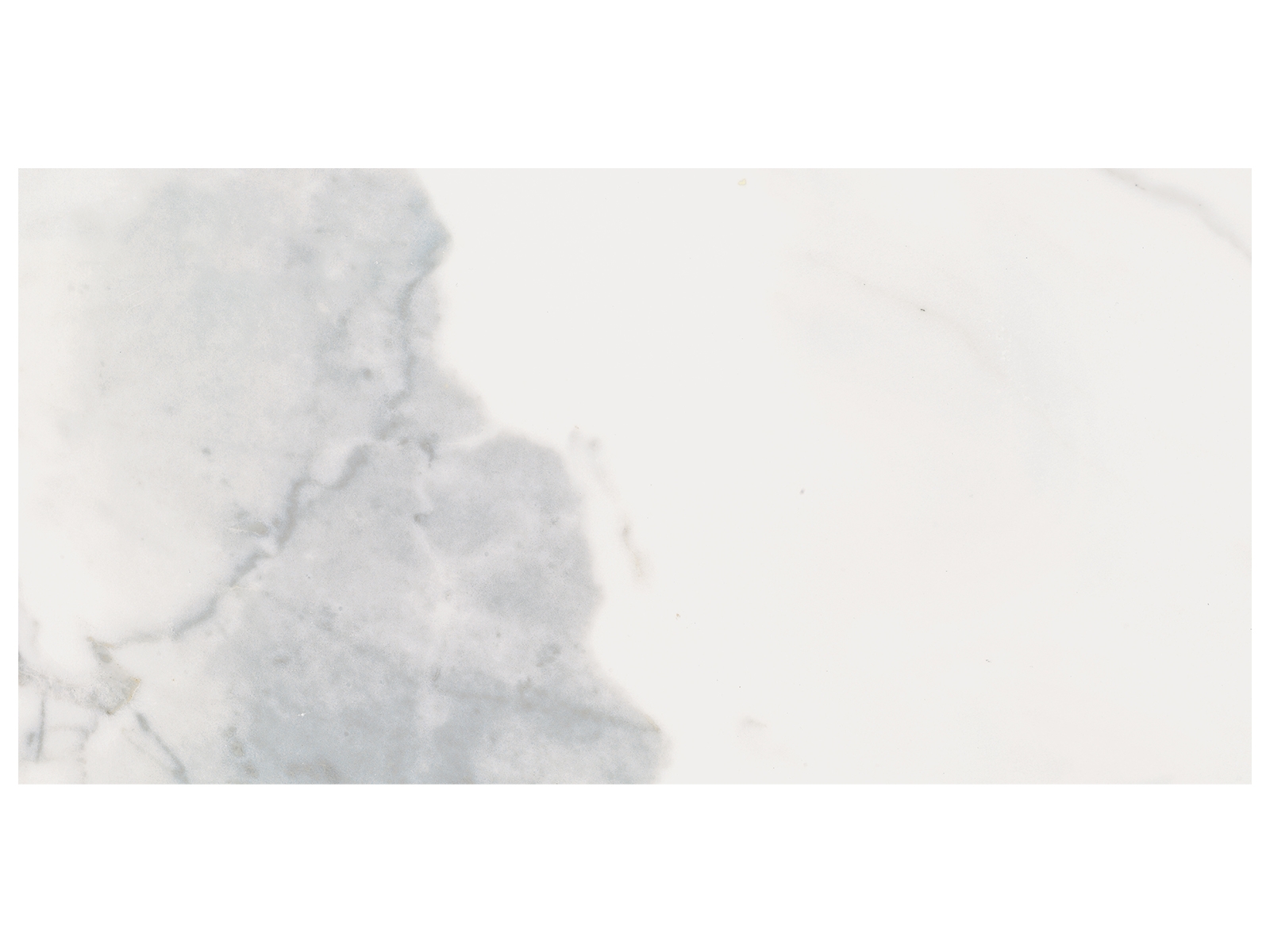 Floor Tile Classic Calacatta Matte 12" x 24"