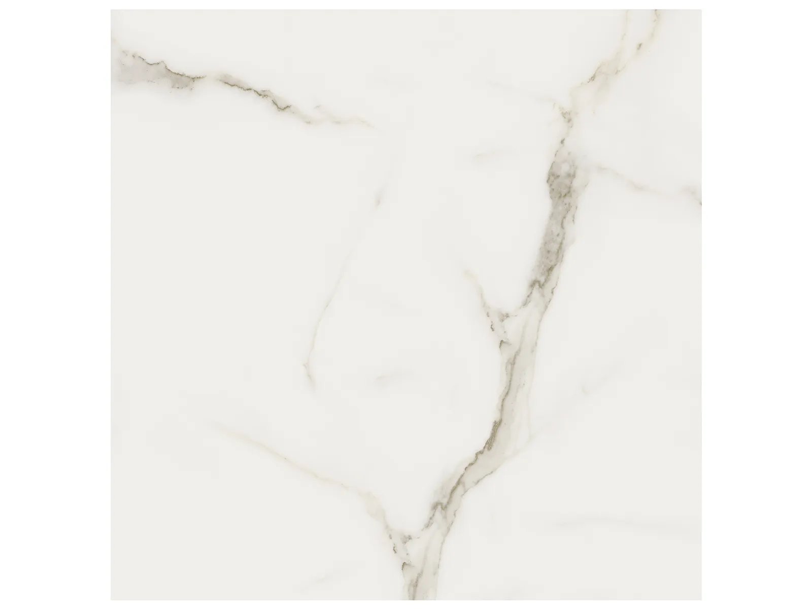 Floor Tiles Mayfair Calacatta Oro Matte 24" x 24"